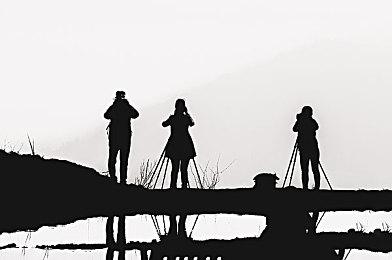 任天堂、卡普空、世嘉、SE等多家日本公司股价下跌